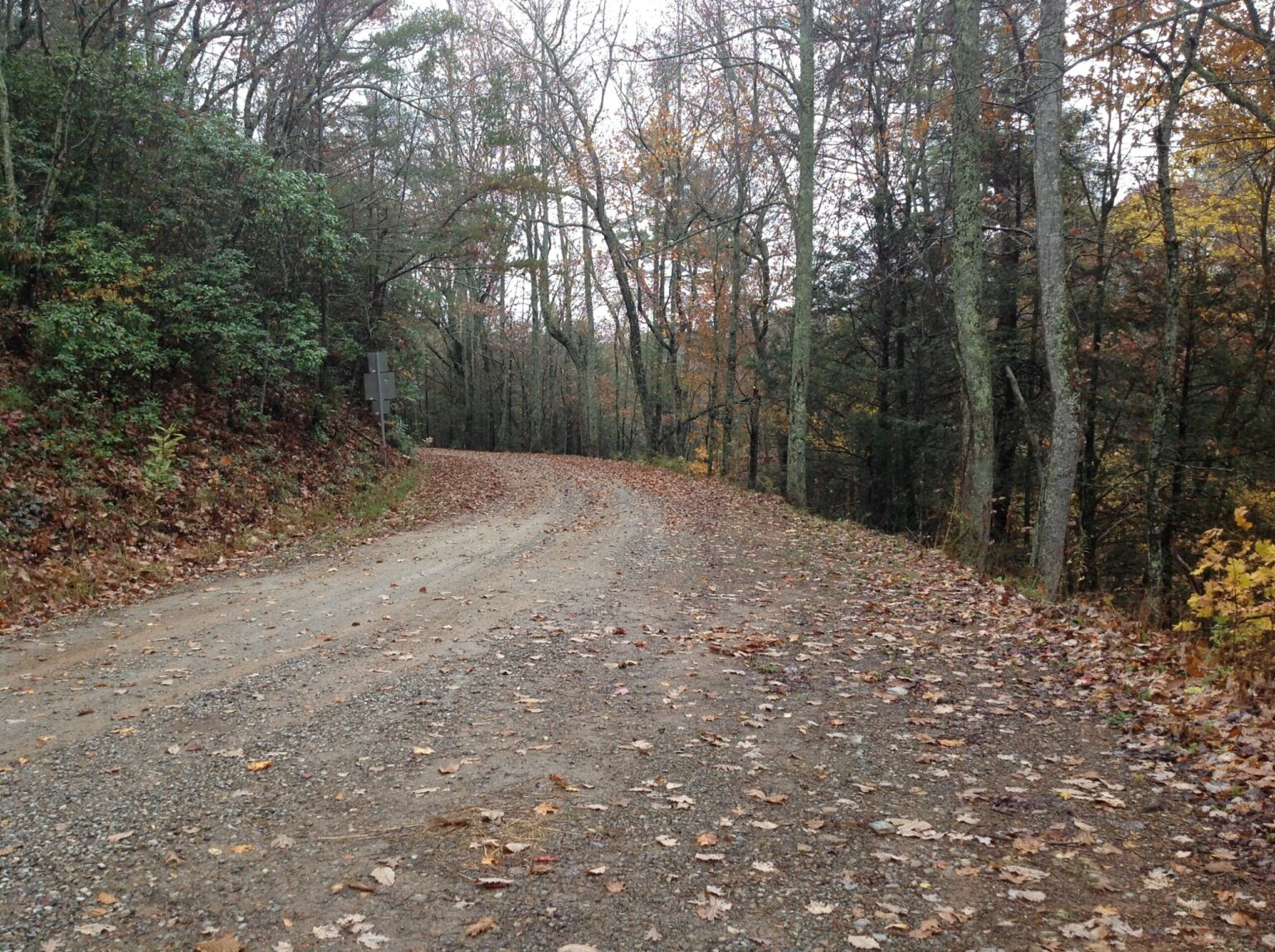 A gravel forest road curving through bare and yellow fall trees in Cherokee National Forest, Tennessee, with leaves on the ground