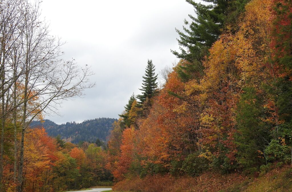 How to Plan a Trip to the Great Smoky Mountains
