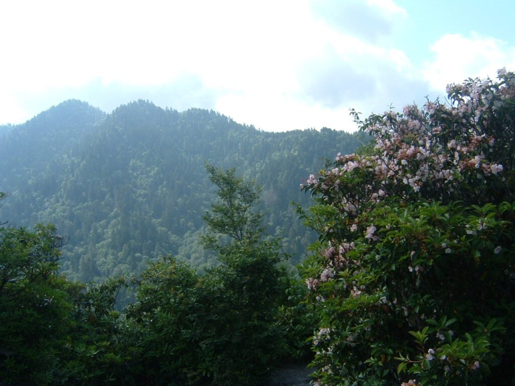 Great Smoky Mountains Parking Tag