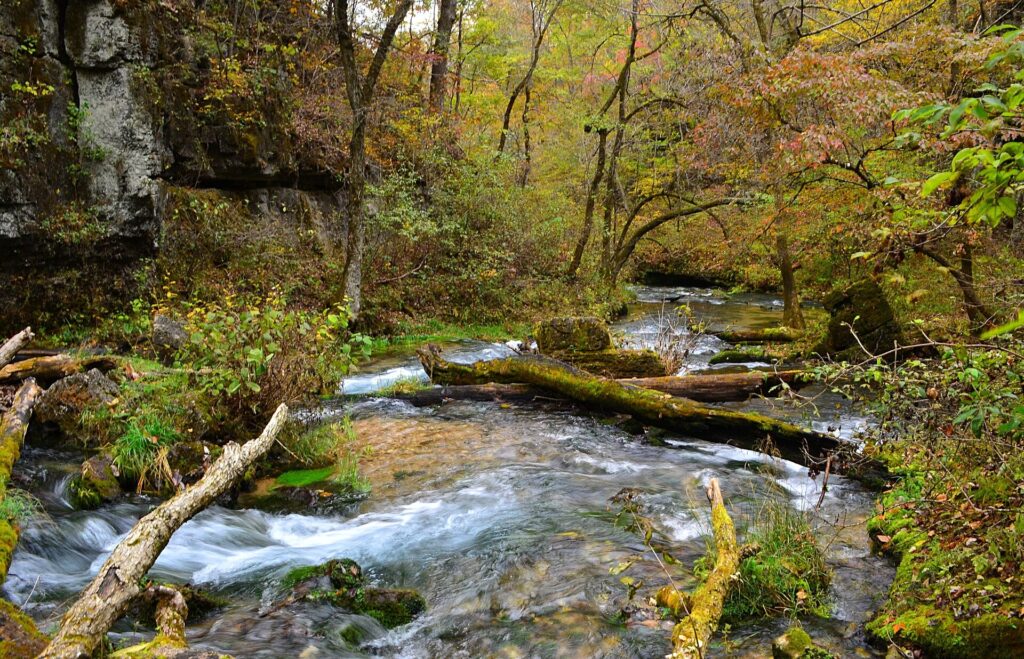 Clear water flowing over rock near Greer Spring in fall