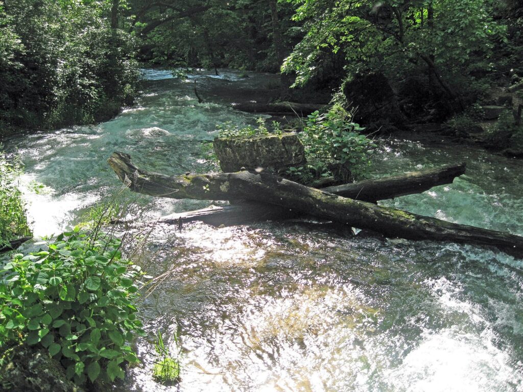 Greer Spring's outflow rushing over logs and rock in the Mark Twain National Forest