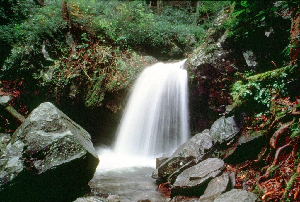 Grotto Falls in Great Smoky Mountains National Park, water spilling over a rock ledge into a wooded pool