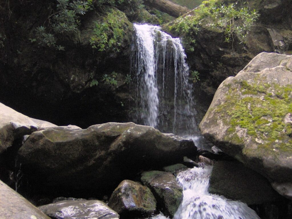Grotto Falls in the Smoky Mountains, where the Trillium Gap Trail passes behind the waterfall