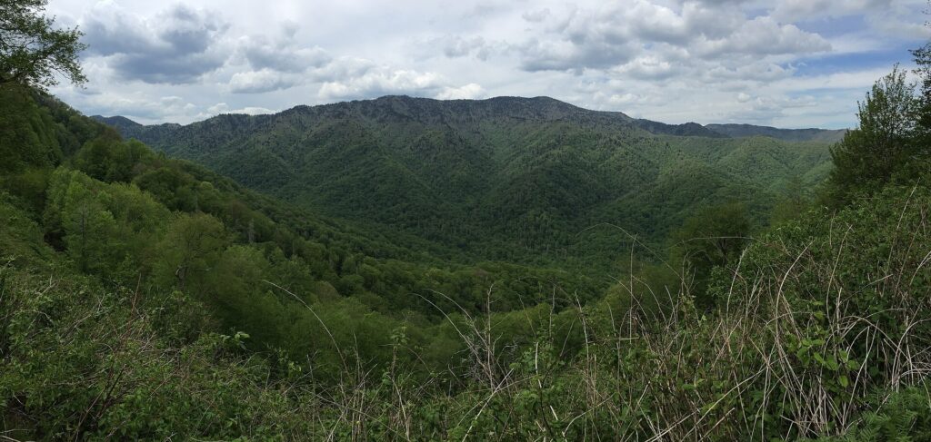Panoramic mountain valley view from an overlook on the North Carolina side of Newfound Gap Road
