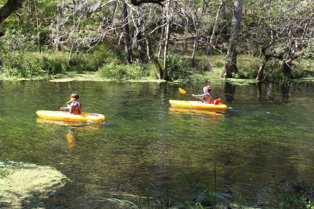 Paddlers in kayaks on the clear, tree-lined Ichetucknee River