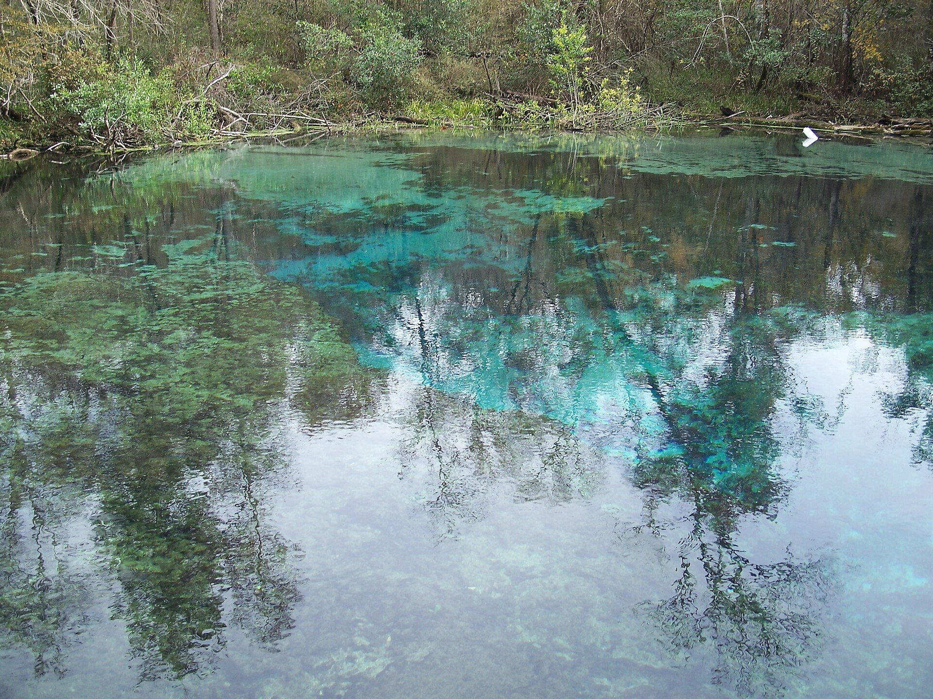 Clear blue water at the Head Spring in Ichetucknee Springs State Park, Florida