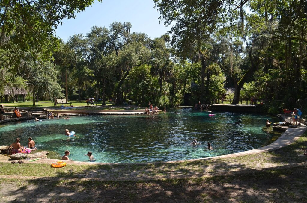 Swimmers in the clear blue water at Juniper Springs in Ocala National Forest