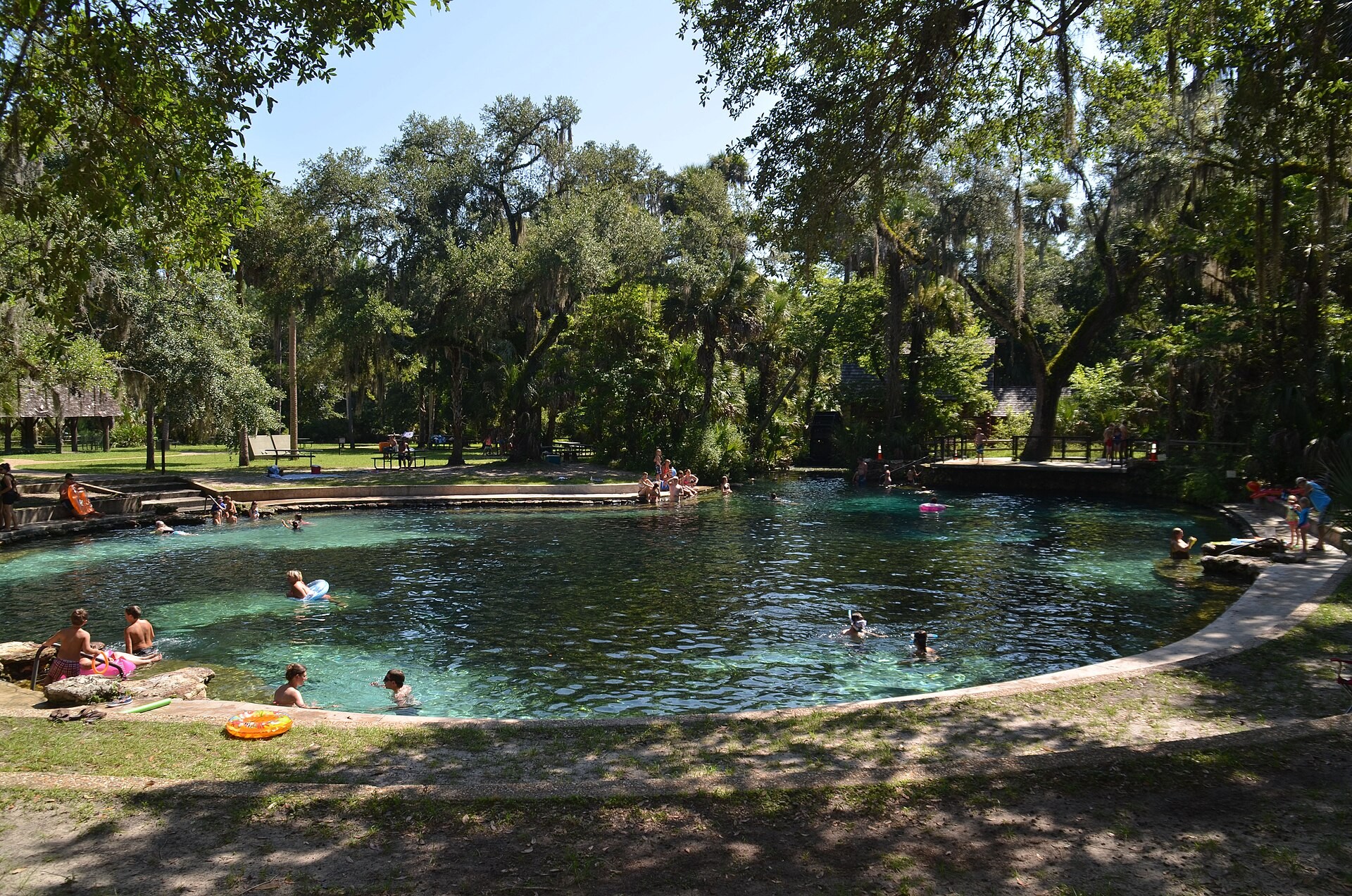 Swimmers in the clear blue water at Juniper Springs in Ocala National Forest