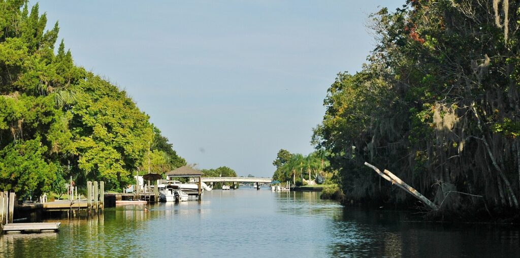 Kings Bay in Crystal River, Florida, lined with docks and mangroves