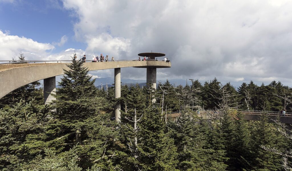 Curved concrete ramp leading up to the Kuwohi observation tower above the treeline