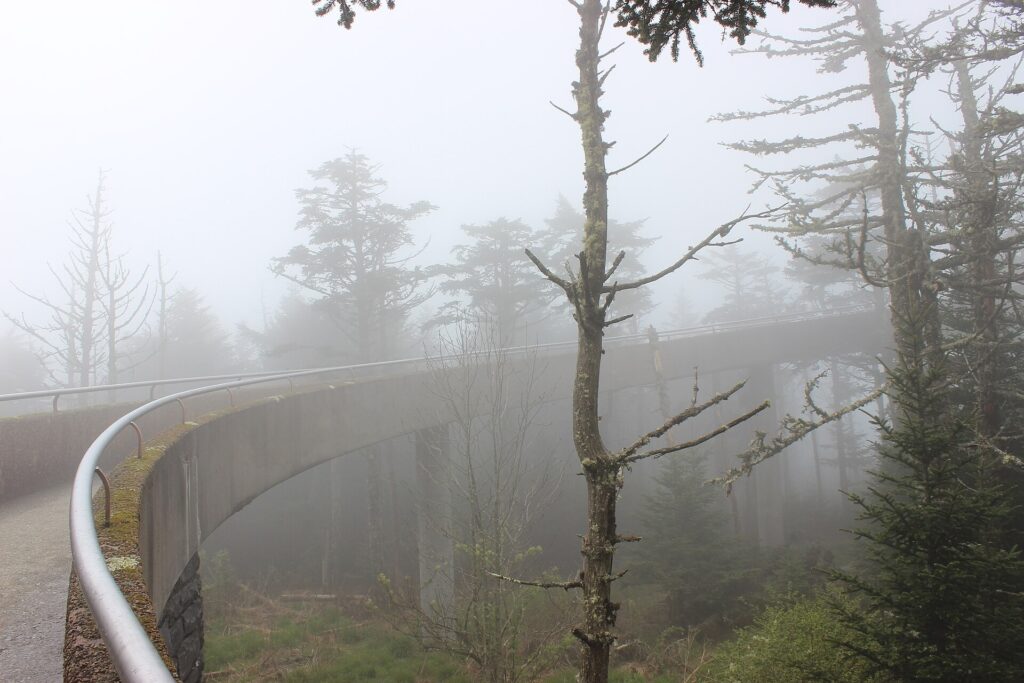 Spiral concrete ramp leading up to the Kuwohi observation tower in fog