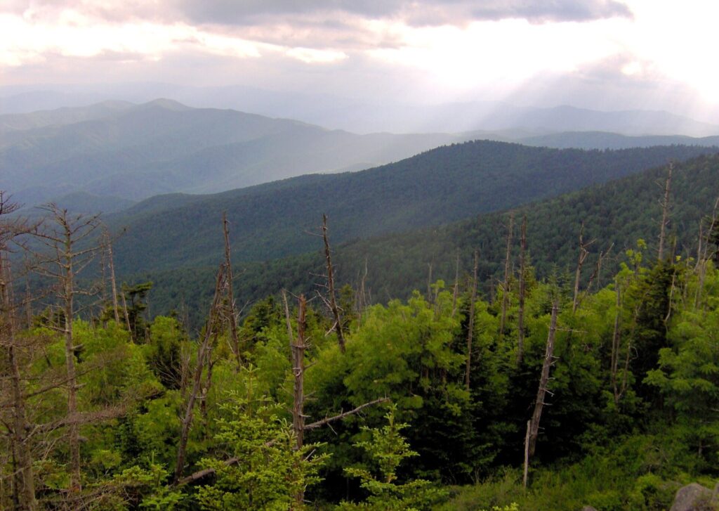View southwest from the Forney Ridge parking area near Kuwohi (Clingmans Dome)