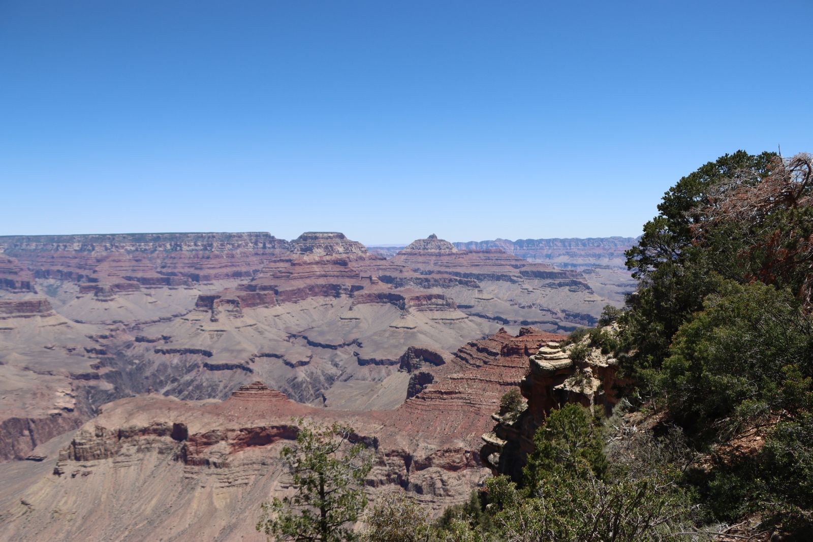 Layered red and tan rock formations stretch across the Grand Canyon under a clear sky