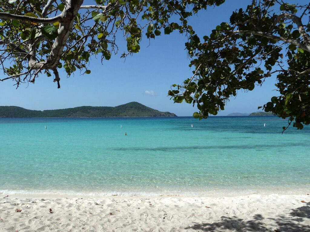 Sand and palm trees framing the water at Lindquist Beach on St. Thomas