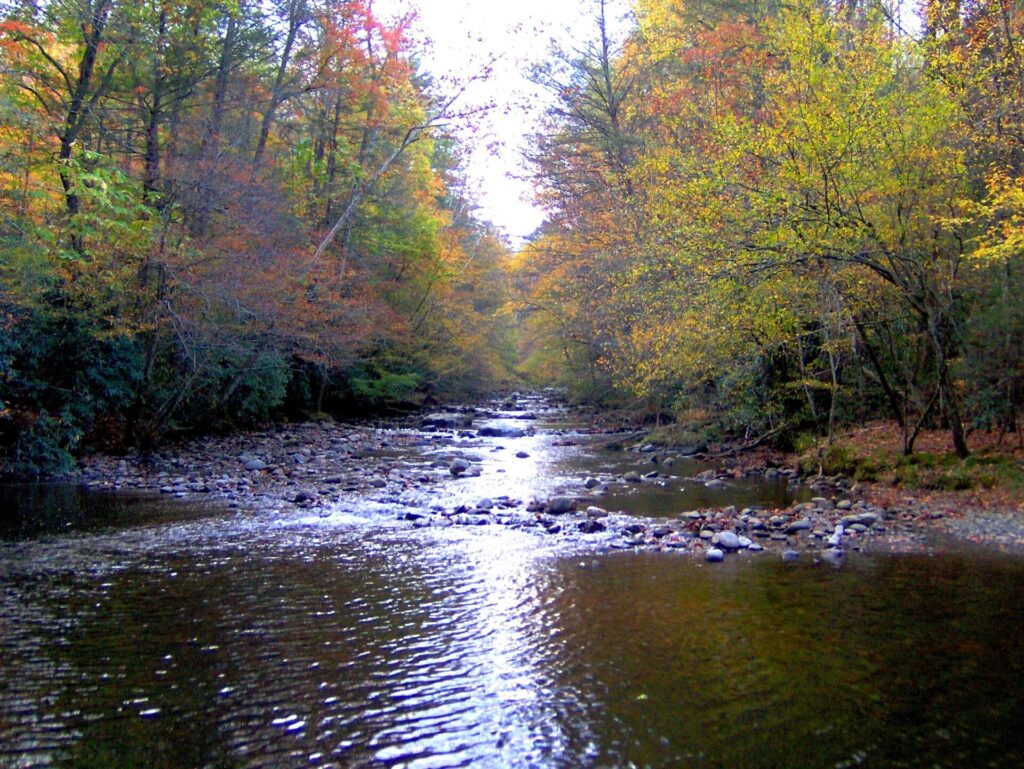 The Little River flowing past Elkmont Campground in Great Smoky Mountains National Park