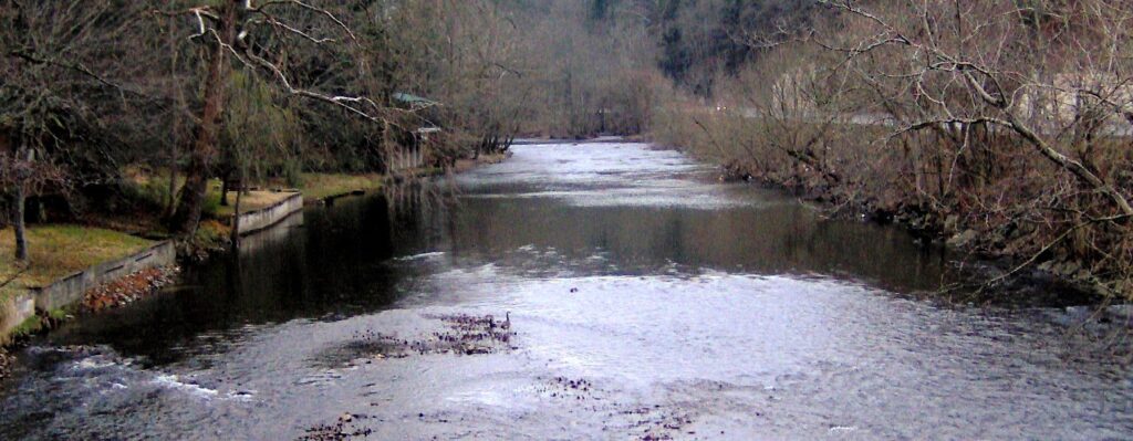The Little River flowing past wooded banks near Townsend, Tennessee