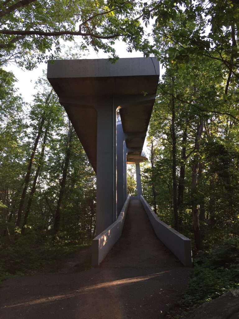 The concrete Look Rock Observation Tower with its spiraling ramp, rising above the surrounding forest on Foothills Parkway
