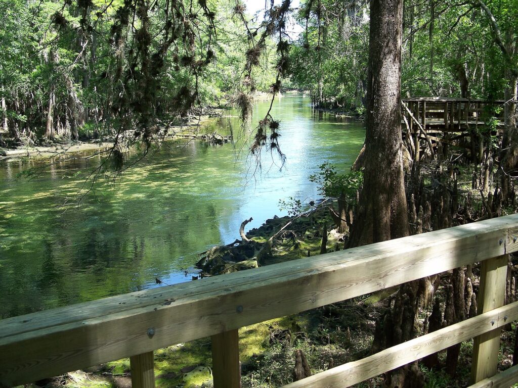 A wooden boardwalk over the spring run at Manatee Springs State Park in Chiefland, Florida.