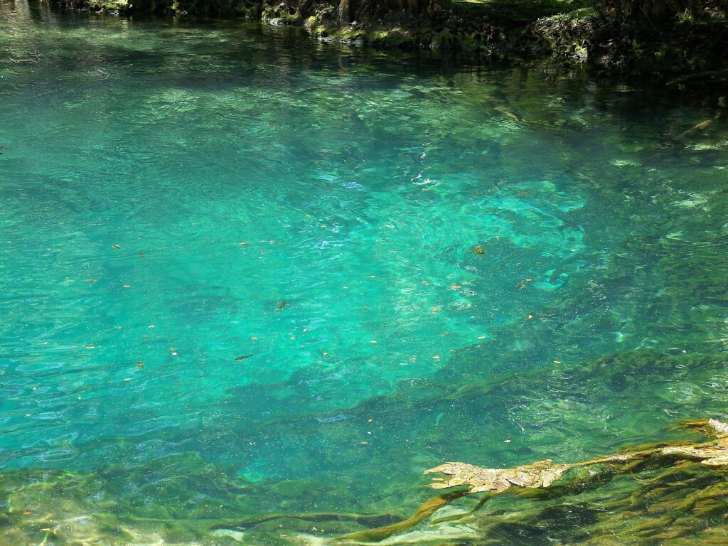 Manatee Springs State Park