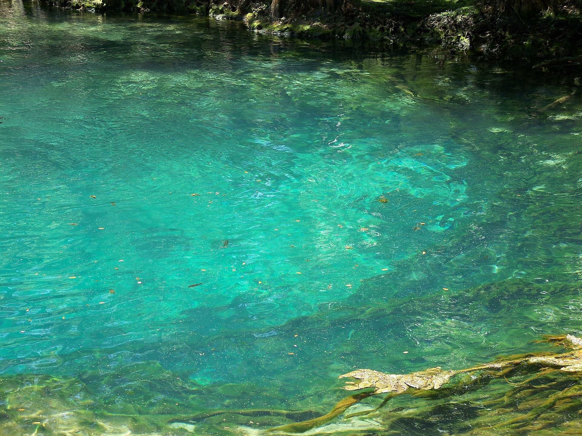 Manatee Springs State Park in Chiefland, Florida
