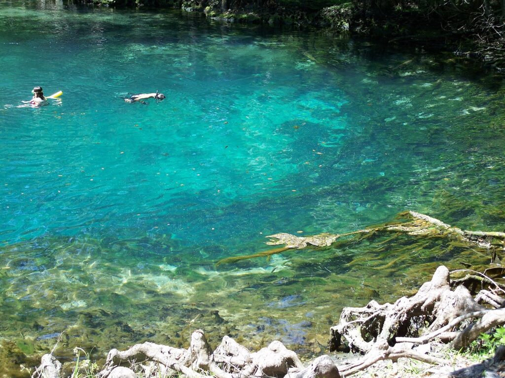 Two swimmers in the clear teal water of the main spring pool at Manatee Springs State Park