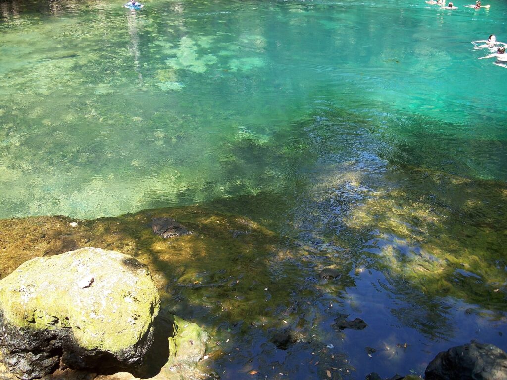 Clear turquoise spring water at the main swimming area of Manatee Springs State Park, with a limestone rock at the edge