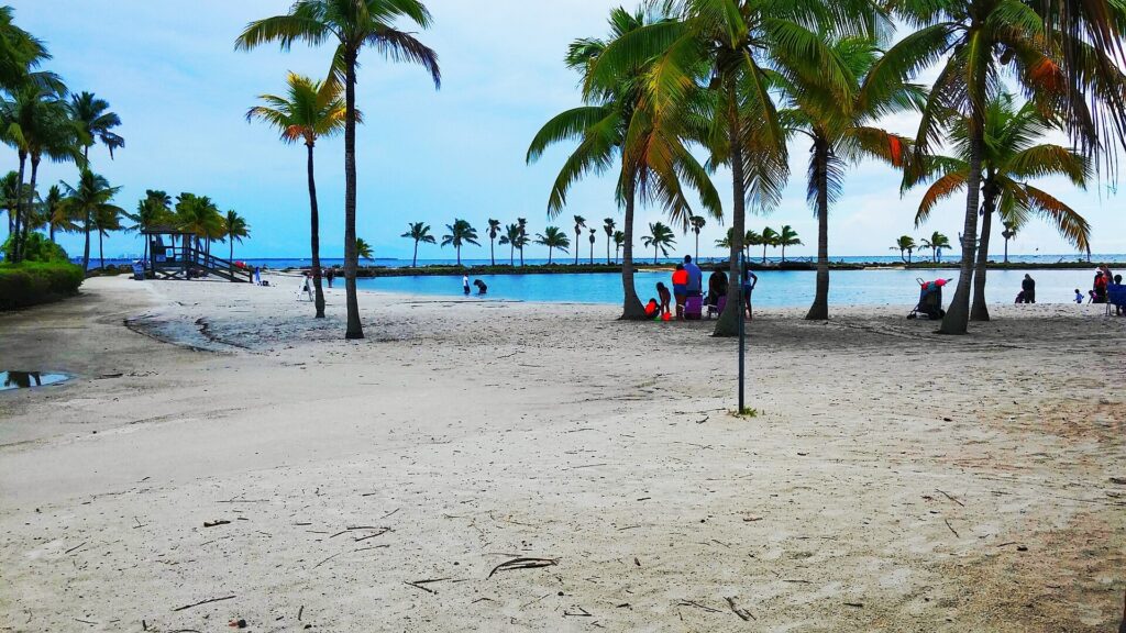 The man-made atoll swimming pool at Matheson Hammock Park, ringed by sand and palms