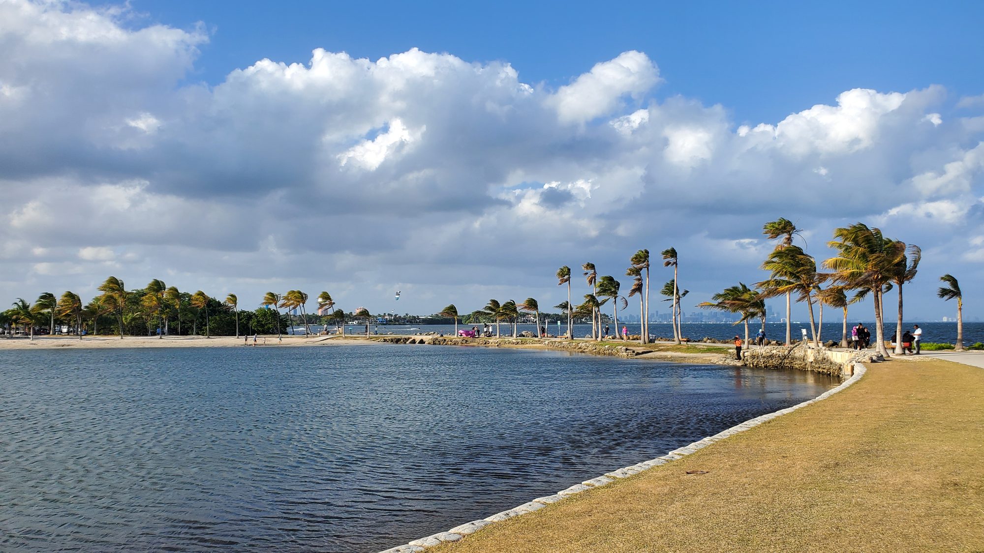 Beach and palms across the water at Matheson Hammock Park