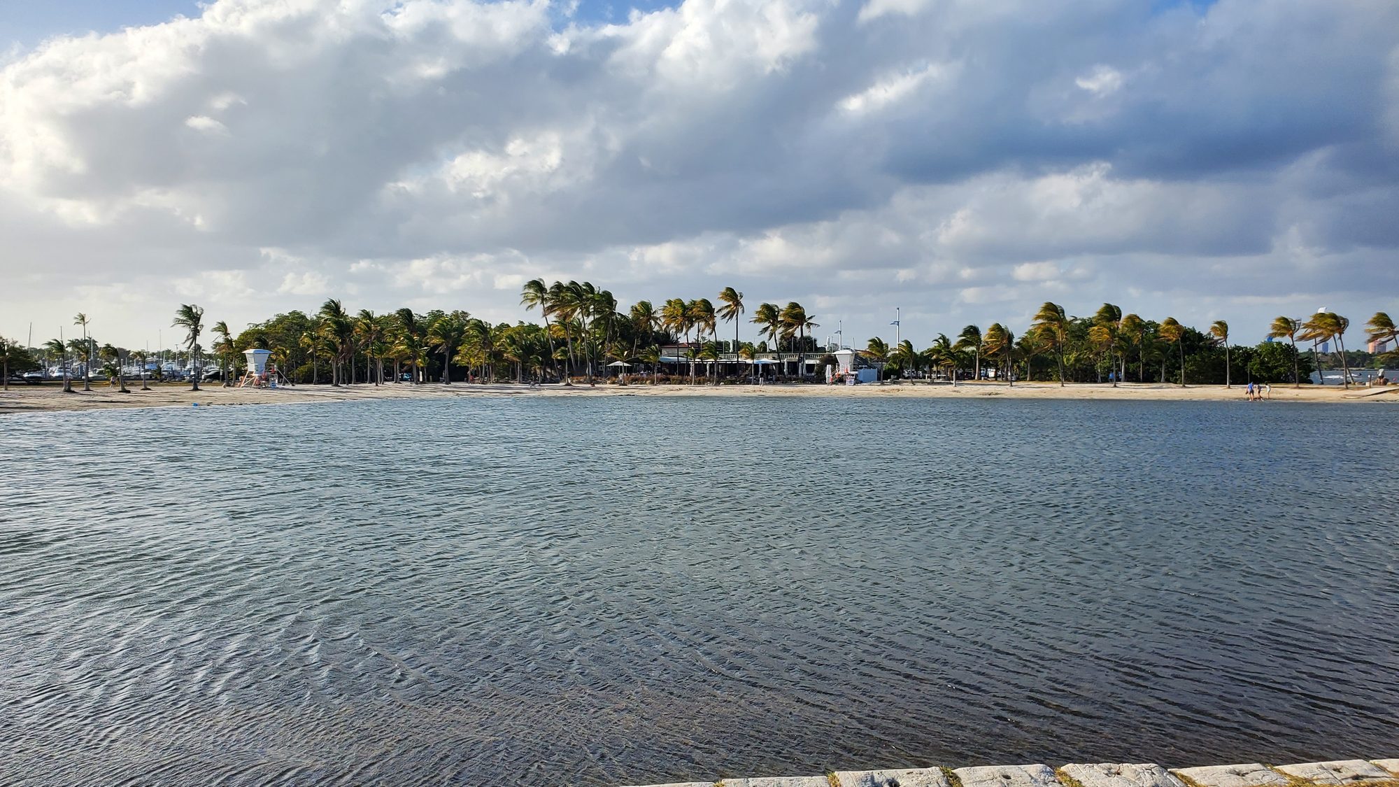 The tide-fed swimming lagoon at Matheson Hammock Park with wind-bent palms