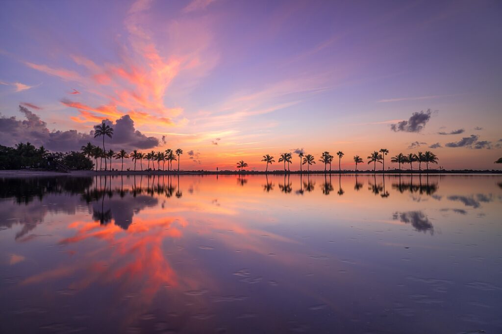 Sunrise over the water at Round Beach in Matheson Hammock Park, palm trees silhouetted along the shore