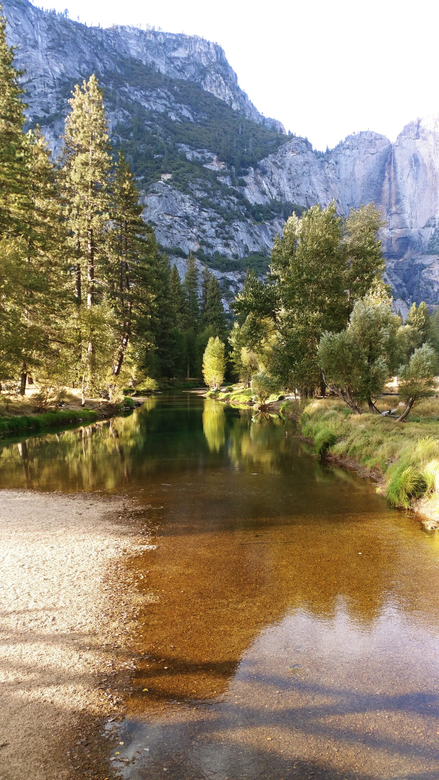 The Merced River reflecting granite cliffs and pines in Yosemite Valley