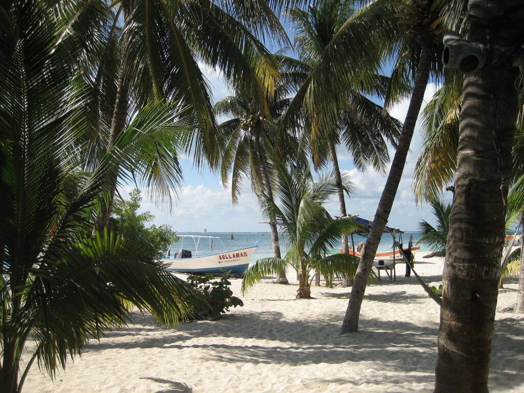 Turquoise water and palm trees along the beach at Isla Mujeres, Mexico