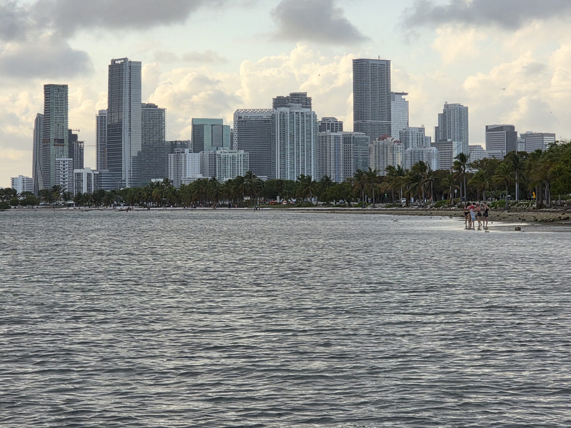 Miami skyline seen from a Key Biscayne beach lined with palms