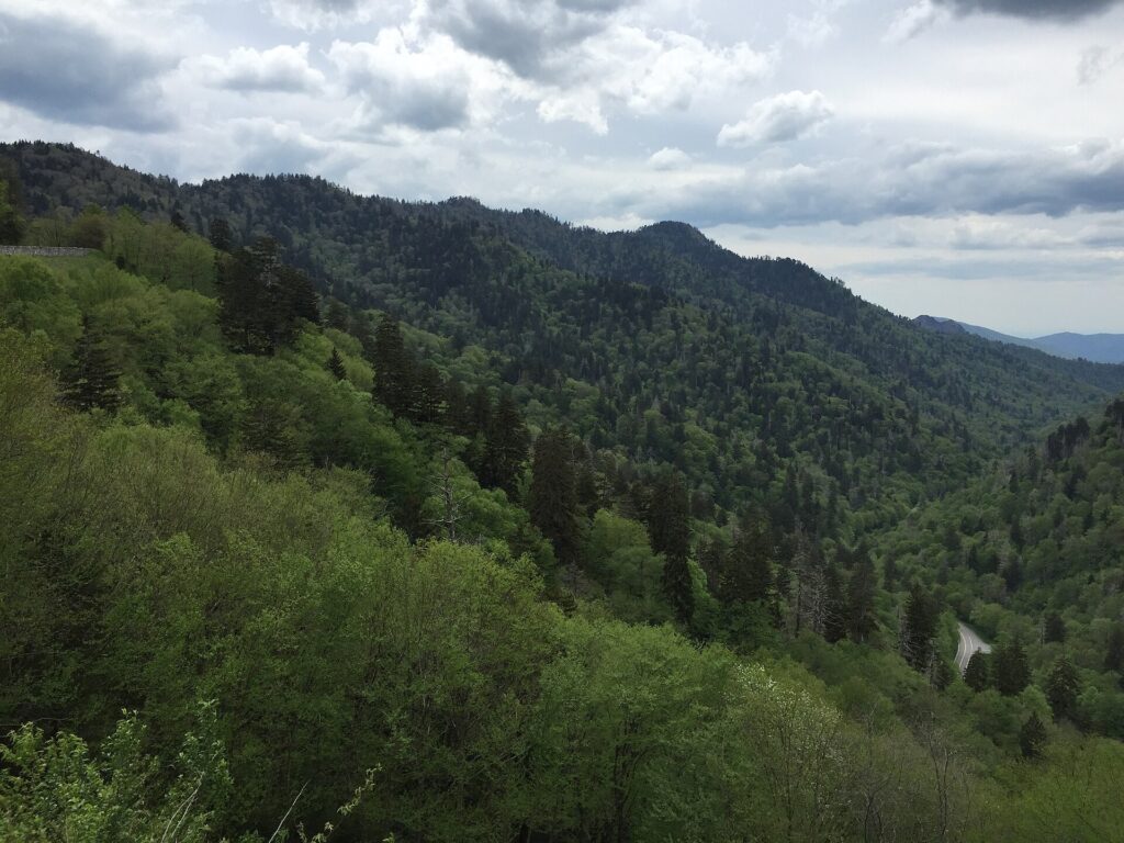 Mountain valley view down Walker Camp Prong from Morton Overlook along Newfound Gap Road