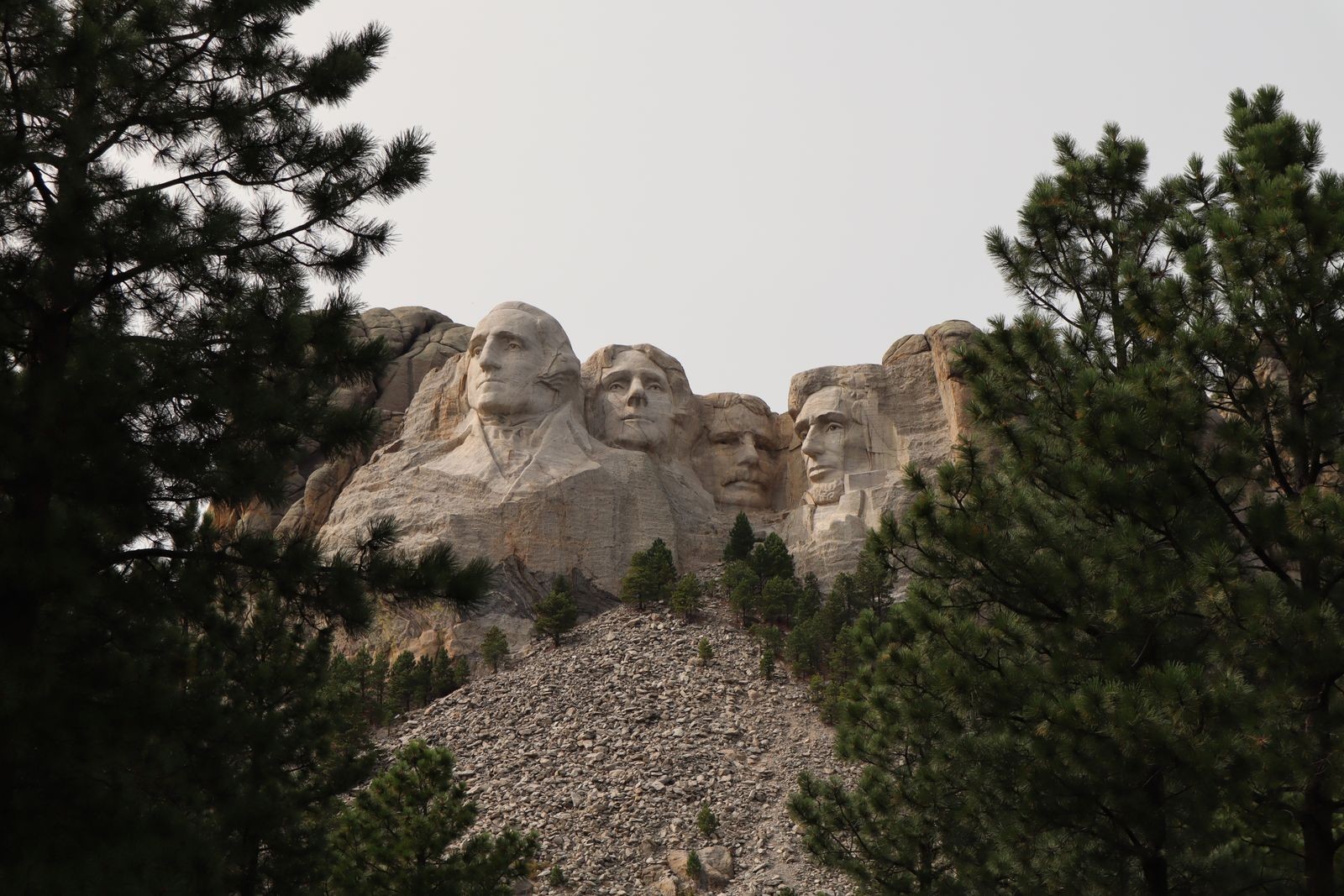 The carved presidential faces of Mount Rushmore seen through pine trees