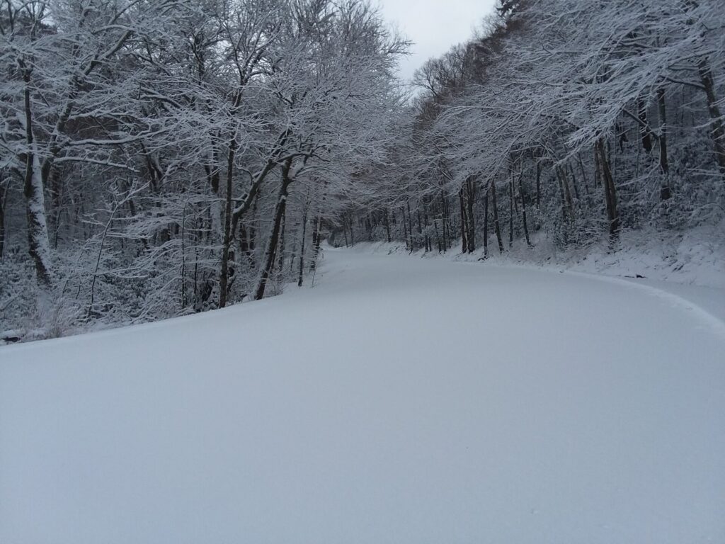 Newfound Gap Road covered in snow in the Great Smoky Mountains