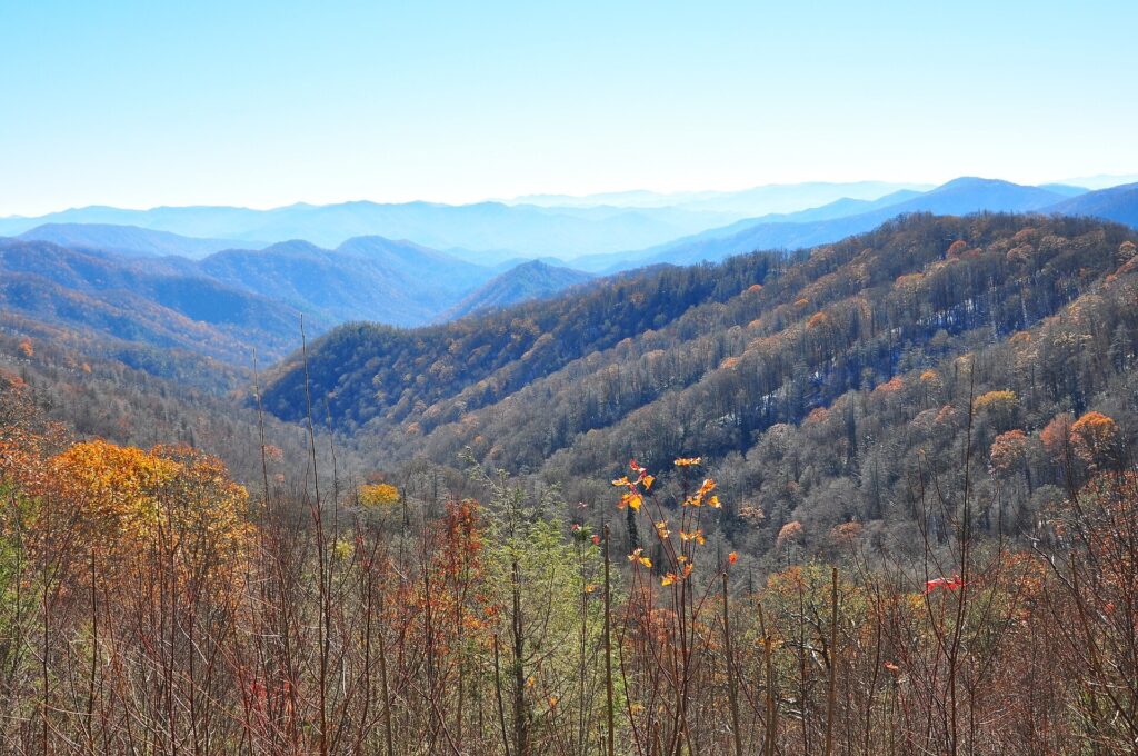 View from Thomas Ridge Overlook along Newfound Gap Road in Great Smoky Mountains National Park in fall