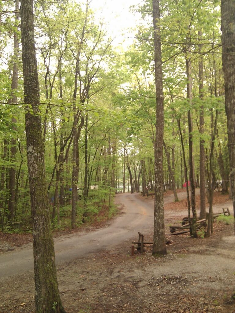 A wooded path curves past a picnic table in a campsite at Oconee State Park