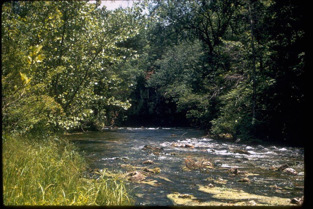 Best Float Trips in Missouri