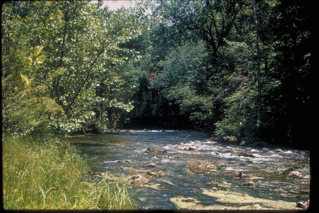 A quiet, tree-lined stretch of water within Ozark National Scenic Riverways