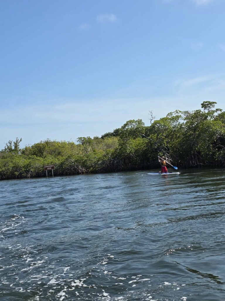 Paddleboarder kneeling in a mangrove channel past a Dangerous Bend sign at John Pennekamp