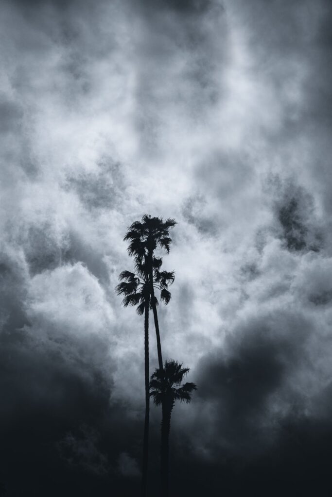 Florida Keys Hurricane Season 2026: Is Key West Safe From Hurricanes?