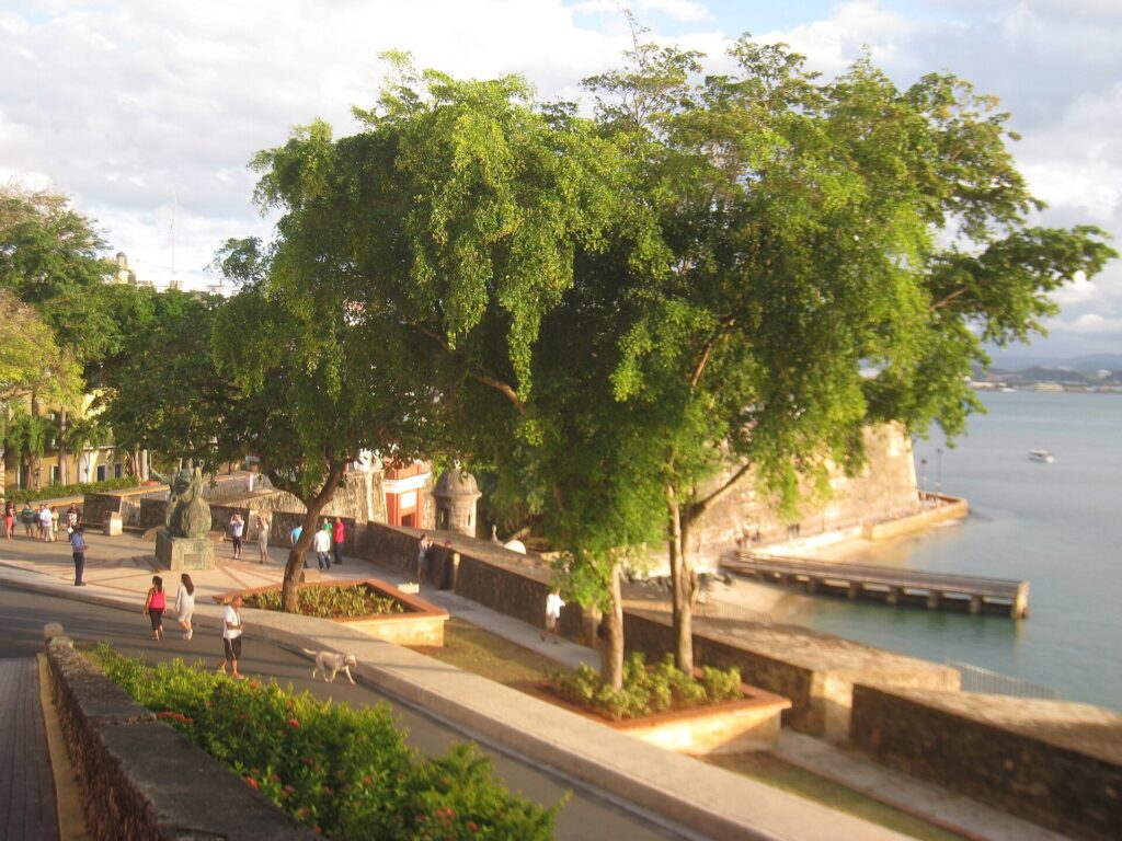 The tree-lined Paseo de la Princesa promenade in Old San Juan