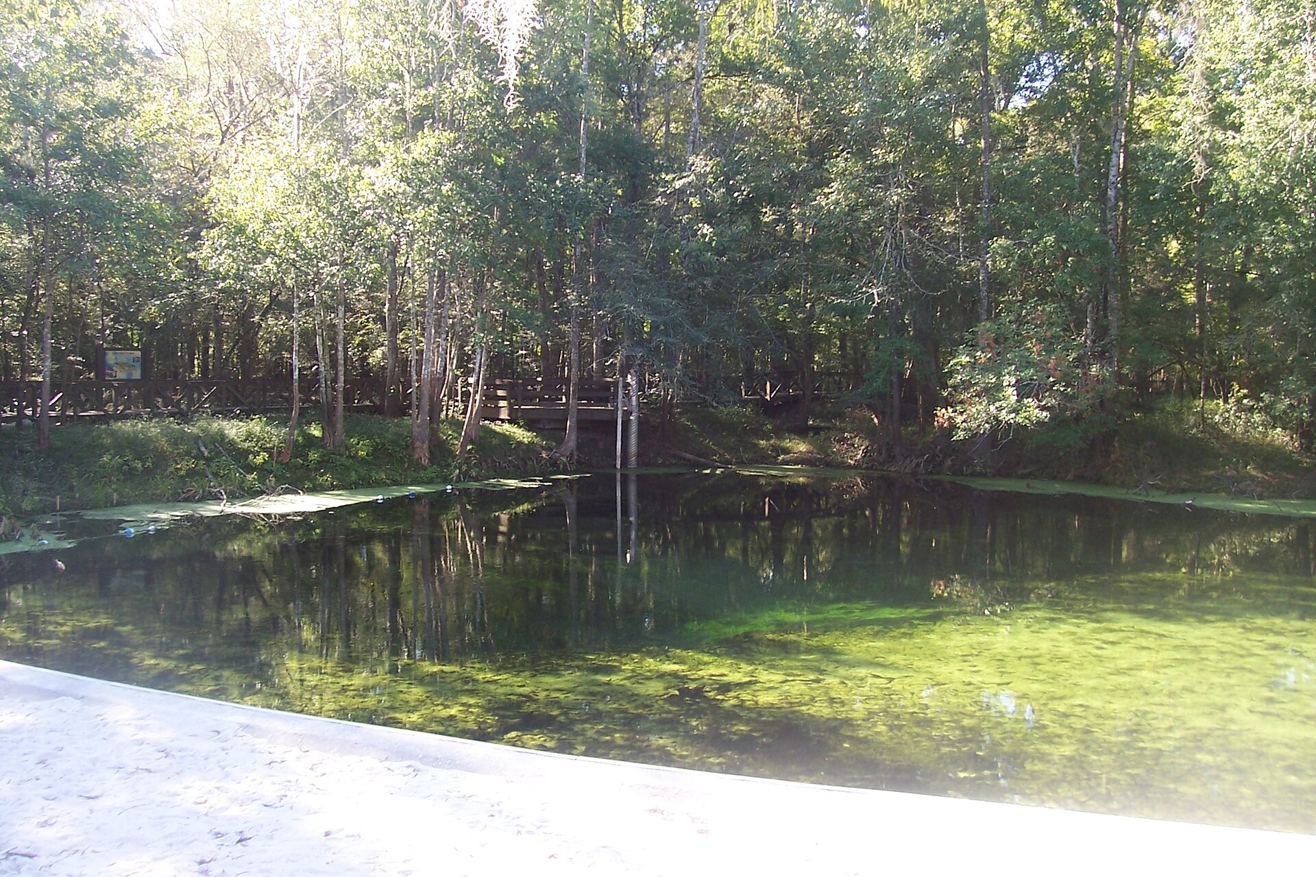 Swimming cove at Poe Springs Park near High Springs, Florida