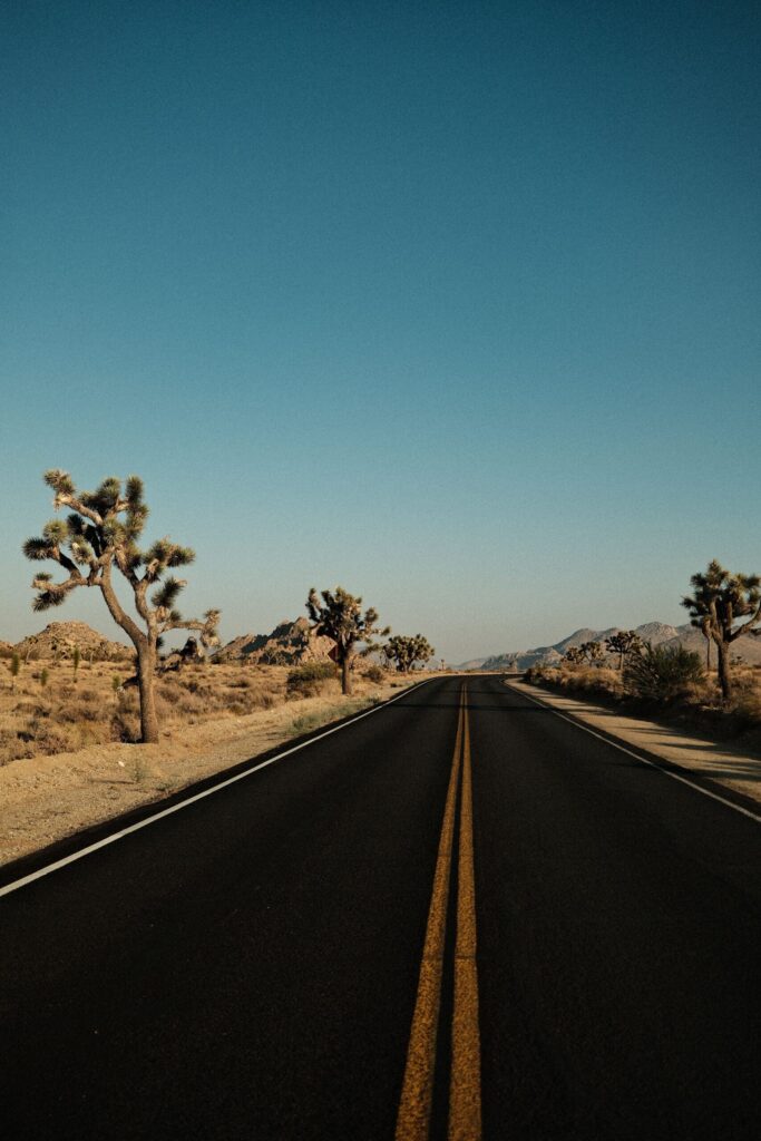 A quiet paved road running through Joshua Tree National Park's desert landscape