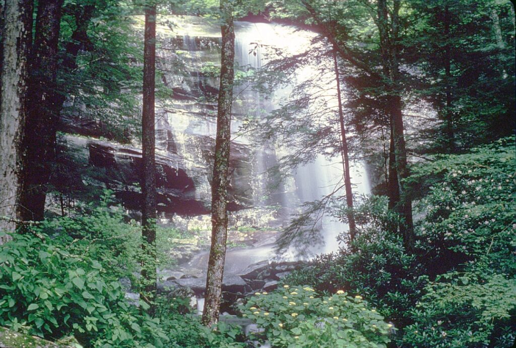 Rainbow Falls seen through the forest in Great Smoky Mountains National Park