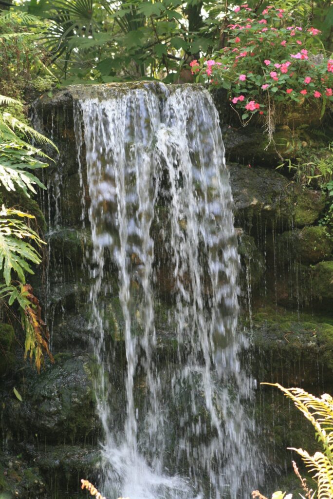 One of the hand-built waterfalls in the gardens at Rainbow Springs State Park, framed by ferns