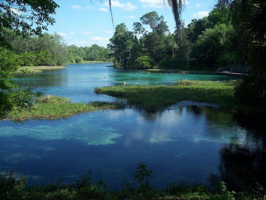 The clear spring-fed river run at Rainbow Springs State Park, lined with cypress and palms