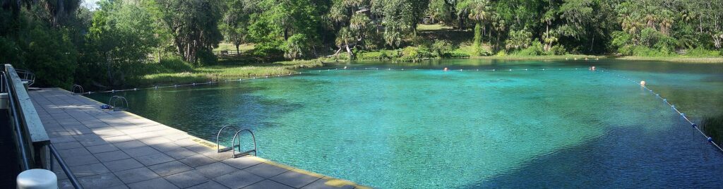 A wide view of the spring-fed swimming area at Rainbow Springs State Park in Florida.