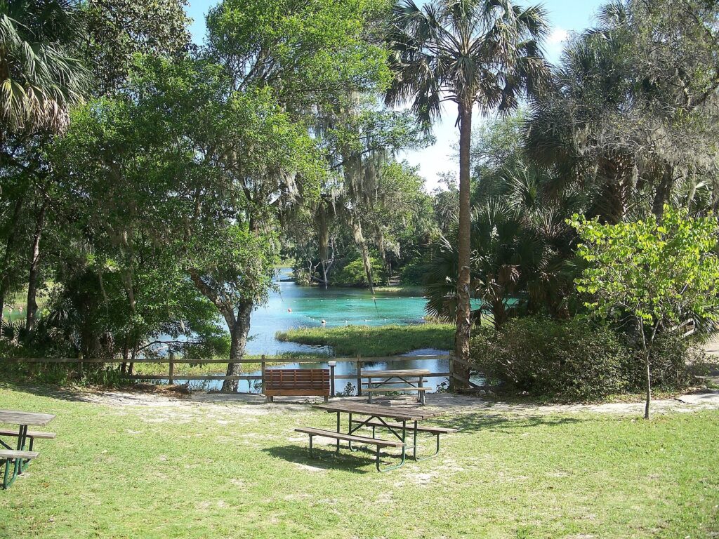 Picnic tables and a bench overlook the spring basin at Rainbow Springs State Park
